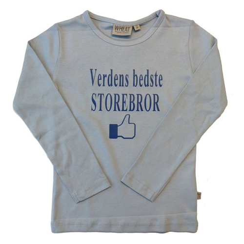 Se Verdens bedste storebror t-shirt hos Babadut.dk
