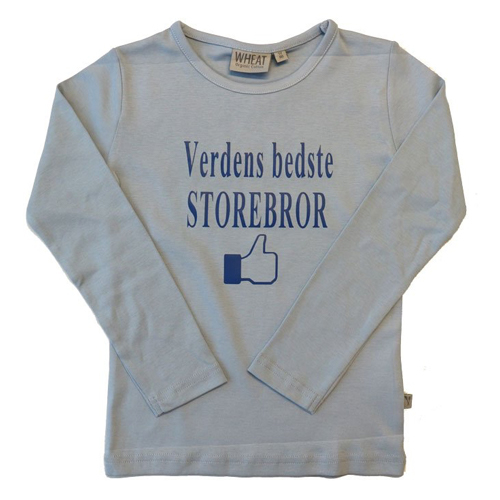 Billede af Verdens bedste storebror t-shirt