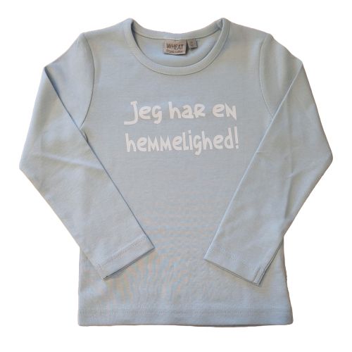 jeg har en hemmelighed t-shirt
