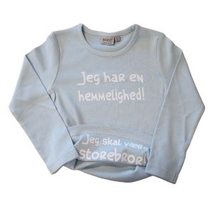 Hemmeligheds storebror t-shirt fra Wherat