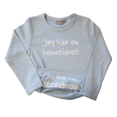 Hemmeligheds storebror t-shirt fra Wherat