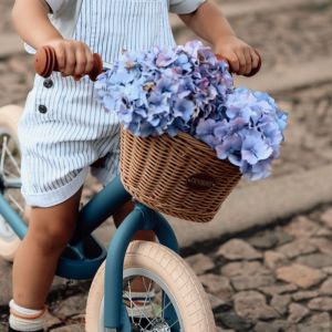 Trybike cykelkurv med blomster i