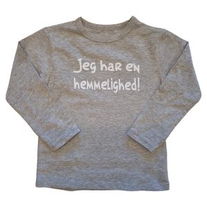 grå storebror t-shirt fra minymo