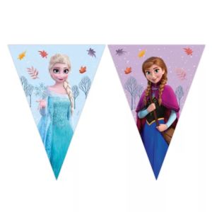 frozen fødselsdagsbanner