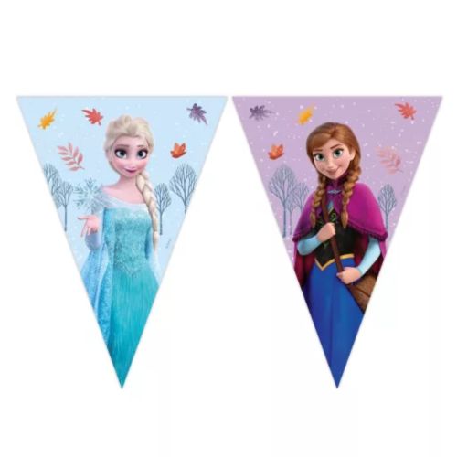 frozen fødselsdagsbanner